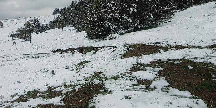 Amasya’nın Taşova ilçesinde Mayıs ayının son günlerinde kar 3