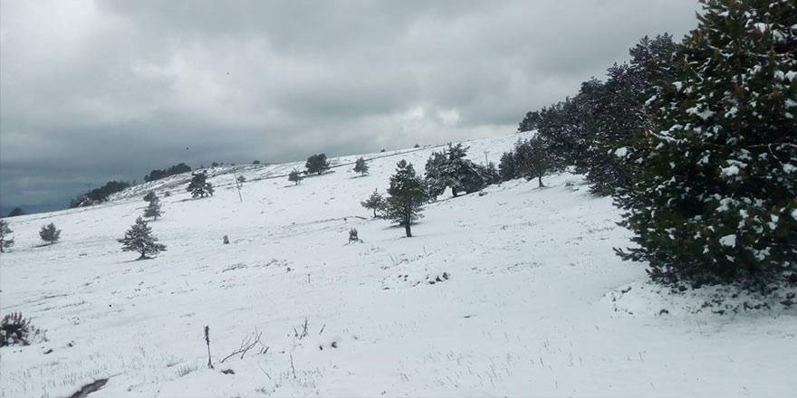 Amasya’nın Taşova ilçesinde Mayıs ayının son günlerinde kar