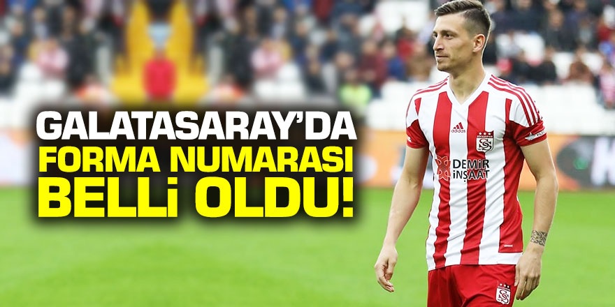 Hakan Yandaş'ın Galatasaray'da forma numarası belli oldu!