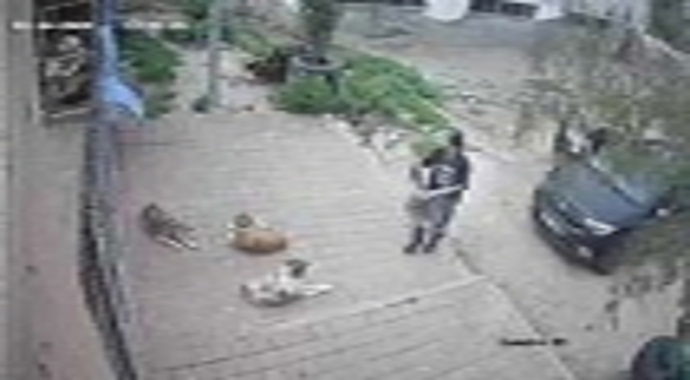 Kozan Belediyesi, Hayvan Bakım Merkezi'ne ölü köpeklerin çuvalla taşındı iddiası