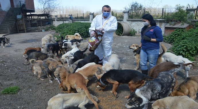 Sakarya İl Emniyet Müdürü Fatih Kaya sokak hayvanlarına mama gönderdi