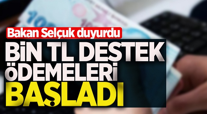 2 milyon 300 bin haneye yapılacak bin TL destek ödemeleri başladı