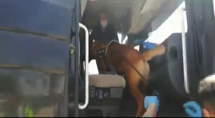 Batman'da Seyahat izin belgeli tırdan uyuşturucu çıktı