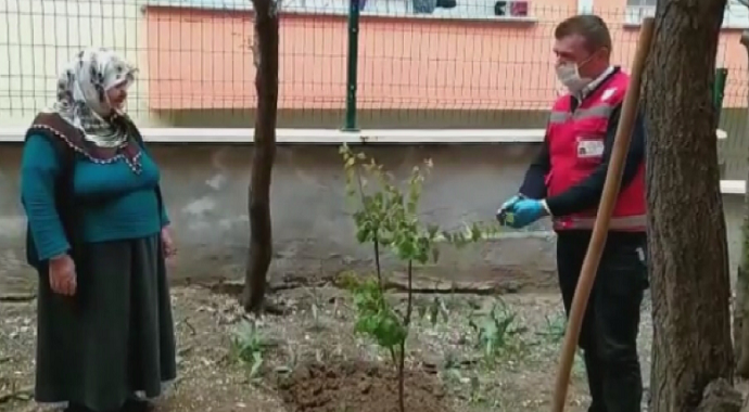 Sivas’ta evinden çıkamayan yaşlı kadın sosyal destek grubundan fidan istedi