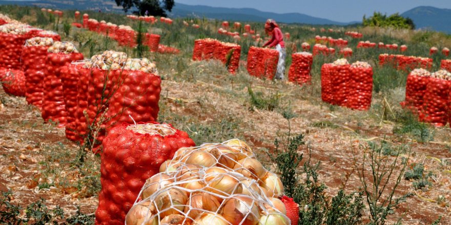 Esgin'den Bakan Pakdemirli'ye soğan ihracatı teşekkürü