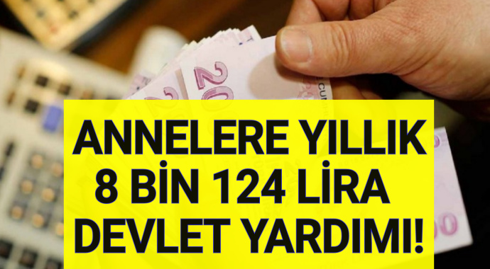 Anneler 2020'de 8 Bin 124 Lira Devlet Yardımı