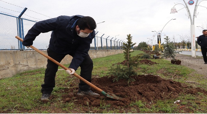 Ağrı'da 10 bin ağaç dikecek