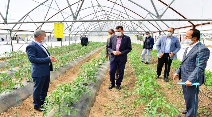 Malatya Yeşilyurt’ta Meyve Kurutma ve Kükürtleme Tesisi kurulacak