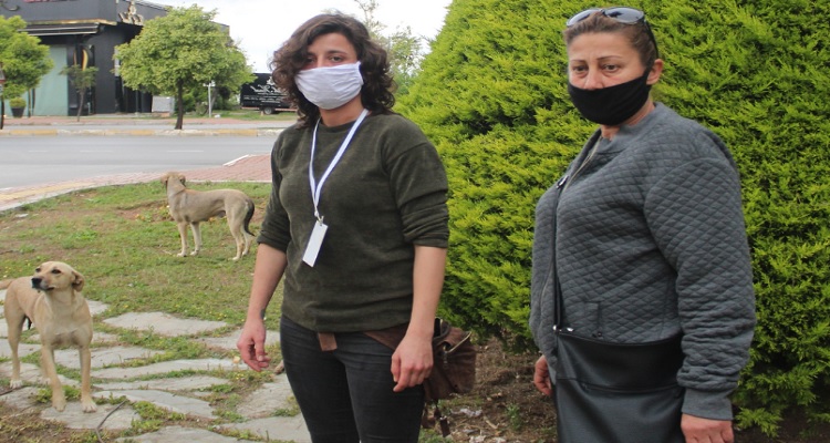 Antalya'da hayvanseverlerin parkta beslediği 11 yavru köpekten 5'i ölü bulundu