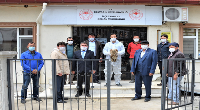 Afyonkarahisar'da Yaralı kızıl şahin tedavi altına alındı