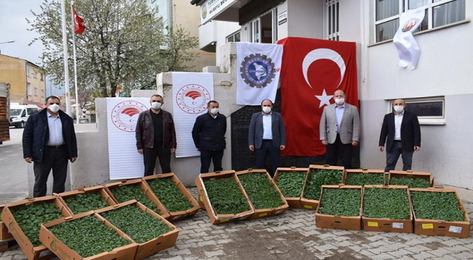 Bayburt’ta çiftçilere toplam 80 bin fide dağıtılacak