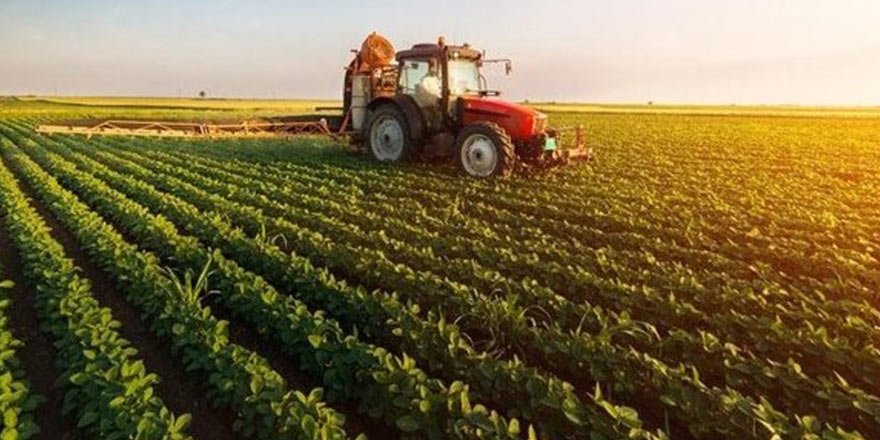 Çiftçi, hem üzümünden hem de pekmezinden gelir sağlıyor
