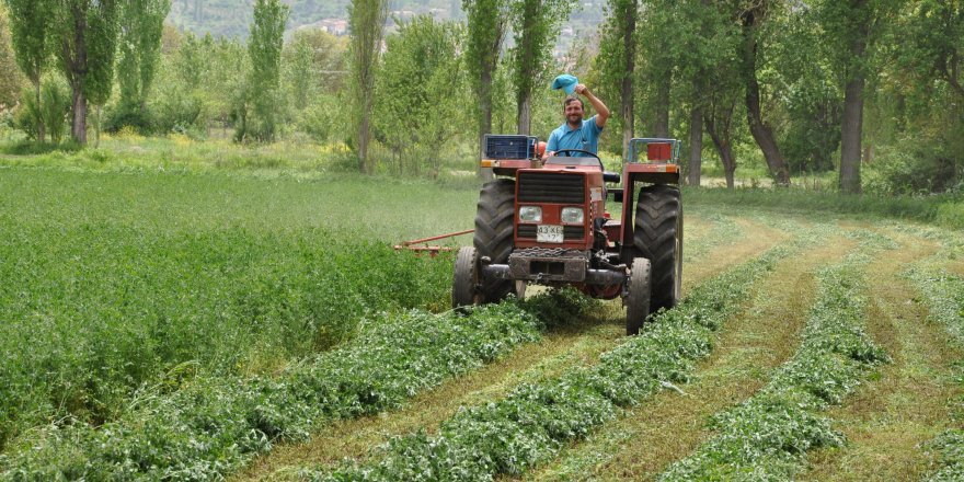 Kütahya Simav Yonca üreticileri hasattan umutlu