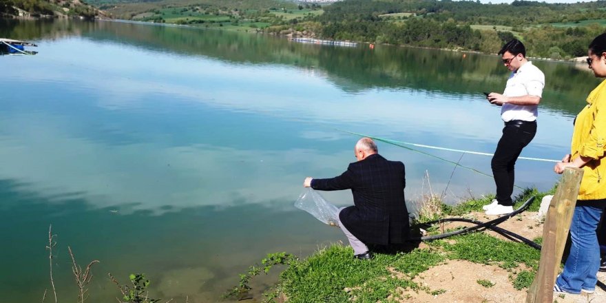 110 bin sazan Samsun göletlerine bırakıldı