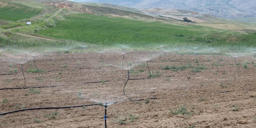 Malatya’da sulama ile 635 milyon 347 bin TL kazanılacak