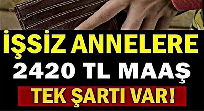 İşsiz Annelere  Devletten Müjde! 2 Bin 420 Lira Destek... İşte Detaylar ve Şartlar