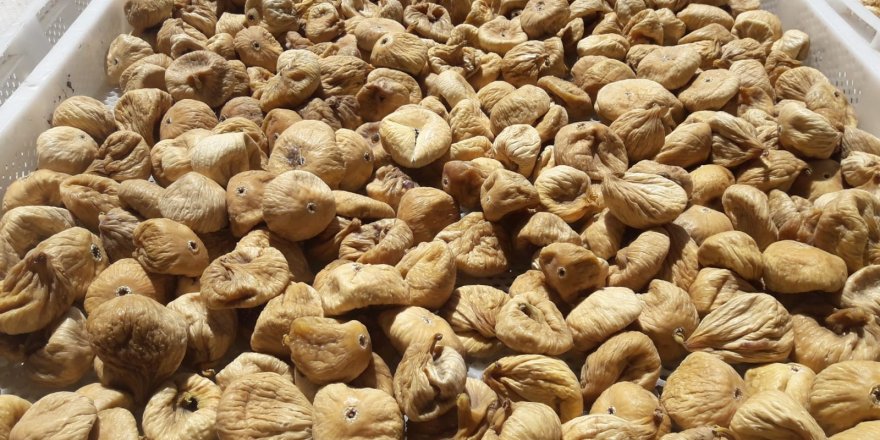 Kuru İncir Kurulu toplantısına kimler katıldı?