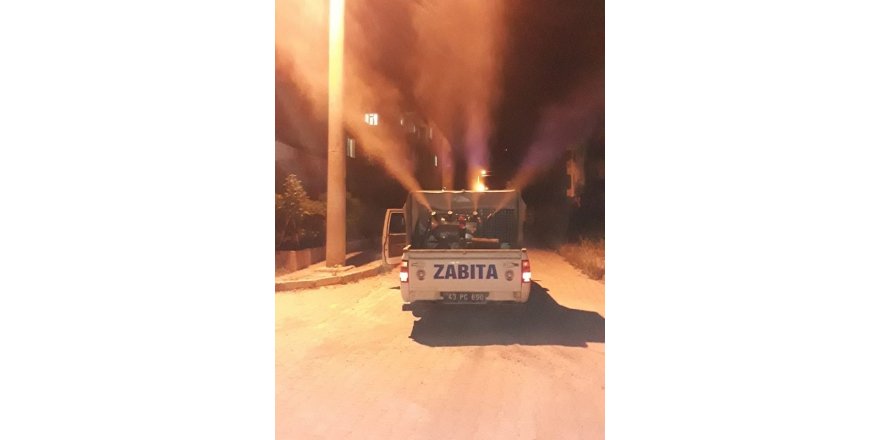 Kütahya'nın Emet Belediyesi Haşere ilaçlama yaptı
