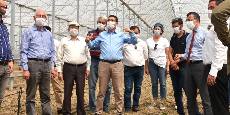 Muğla Milas'a ilk muz fidanı törenle dikildi