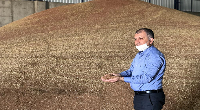 Mardin Kızıltepe’de hasadı başlayan kırmızı mercimek hububat merkezine getirildi