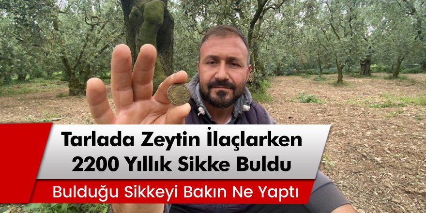 İznik'te tarlada zeytin ilaçlarken Roma dönemine ait 2200 yıllık sikke buldu!