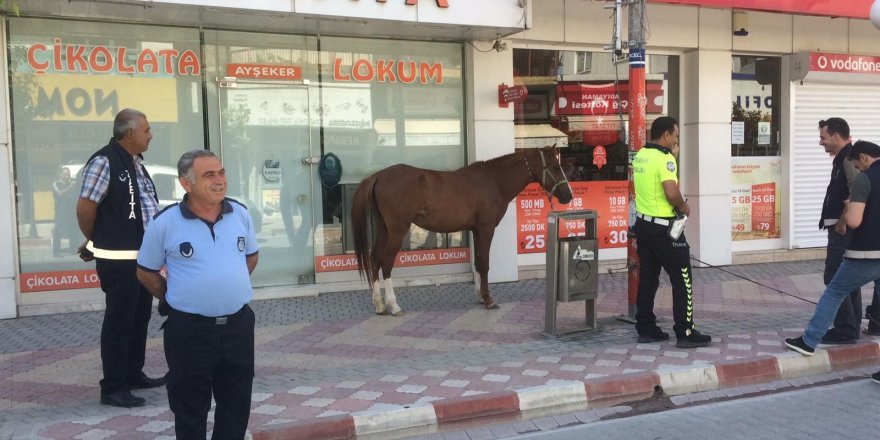 Osmaniye’de Sokağa çıkma yasağında uygulamaya sahipsiz at takıldı