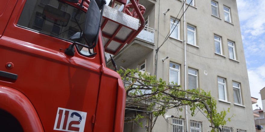 Kütahya Tavşanlı'da Çatıda mahsur kalan yavru kediyi itfaiye ekipleri kurtardı