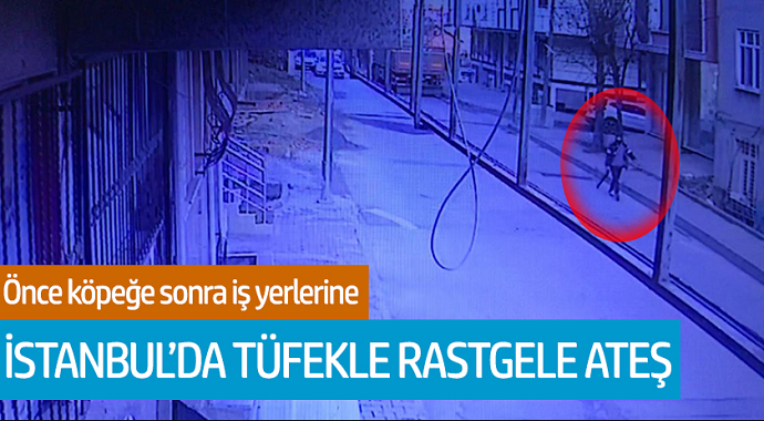 İstanbul'da Tüfekle Rastgele Ateş! Önce Köpeğe Son İş Yerlerine