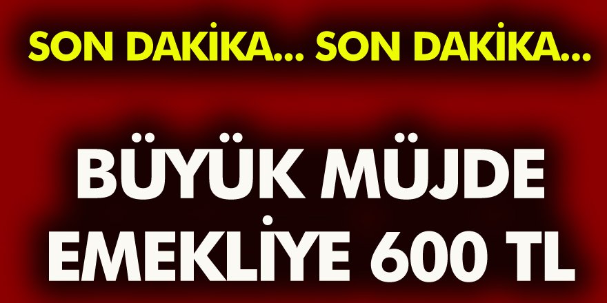 Büyük Müjde Milyonlarca Emekliye 600 TL Zam! İşte Detaylar