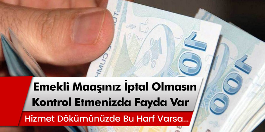 Dikkat Emekli Maaşınız İptal Olmasın! Hizmet Dökümünde Bu Harf Varsa…