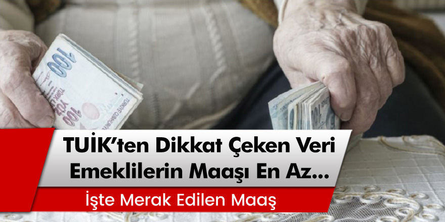 TUİK'ten Dikkat Çeken Veri: Emeklilerin Maaşı En Az...