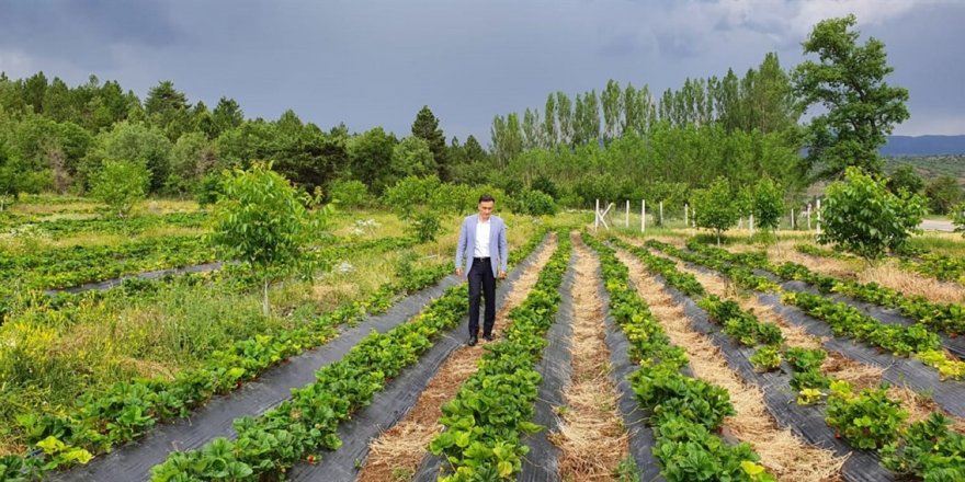 Çorum İskilip kaymakamı Eligül'den köy ziyaretleri