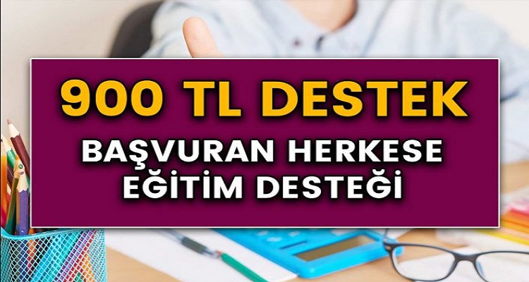 Devletten Başvuru Yapan Herkese 900 TL Destek! İşte Başvuru Şartları