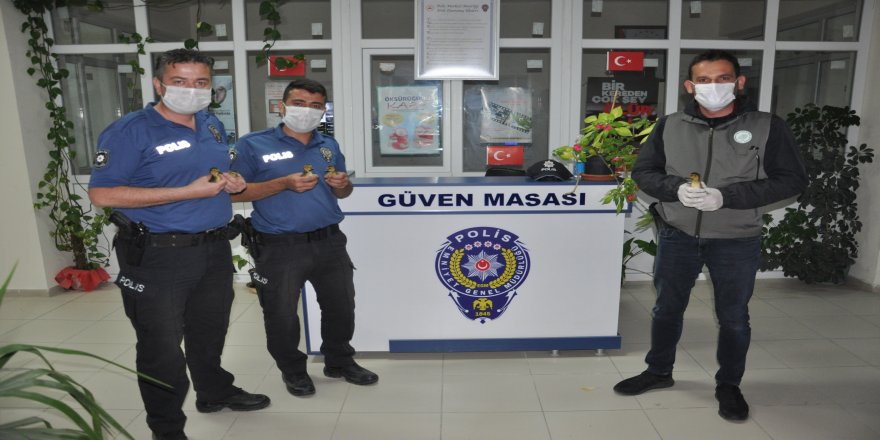 Afyonkarahisar'da Köpeklerin saldırısına uğrayan yaban ördeği yavrularını polisler kurtardı