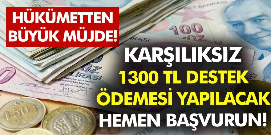 Hükümetten Büyük Müjde Karşılıksız 1300 TL Destek Ödemesi yapılacak! Hemen Başvuru Şartları Nelerdir?