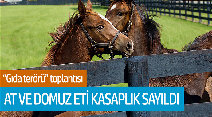 Gıda terörü toplantısı! At ve Domuz eti kasaplık sayıldı