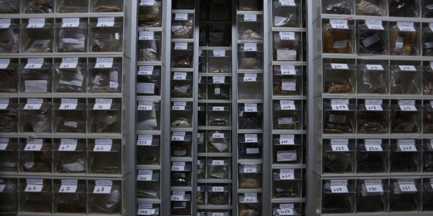 Kocaeli'de Çocukluğundan beri topladığı bin 200 çeşit yerli tohumu gelecek nesiller için saklıyor