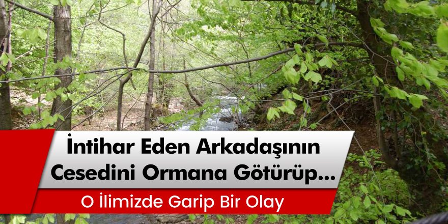 Yalova’da intihar eden arkadaşının cesedini ormana götürüp bakın ne yaptı