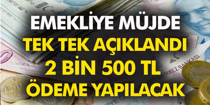 Milyonlarca Emekliye 2 bin 500 lira! Tek tek Açıklandı