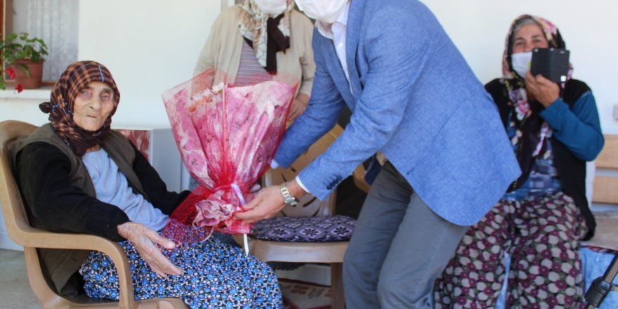 Manisa Alaşehir'de Asırlık çınar 111 yaşında vefat etti