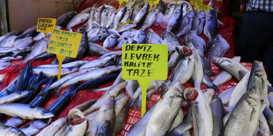 Somonun fiyatı geriledi! Kilosu 20 TL