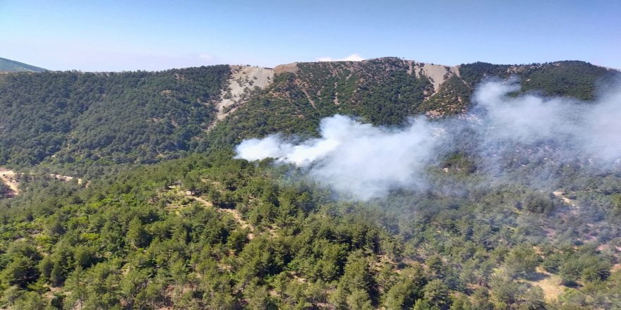 Hatay Belen'de orman yangını