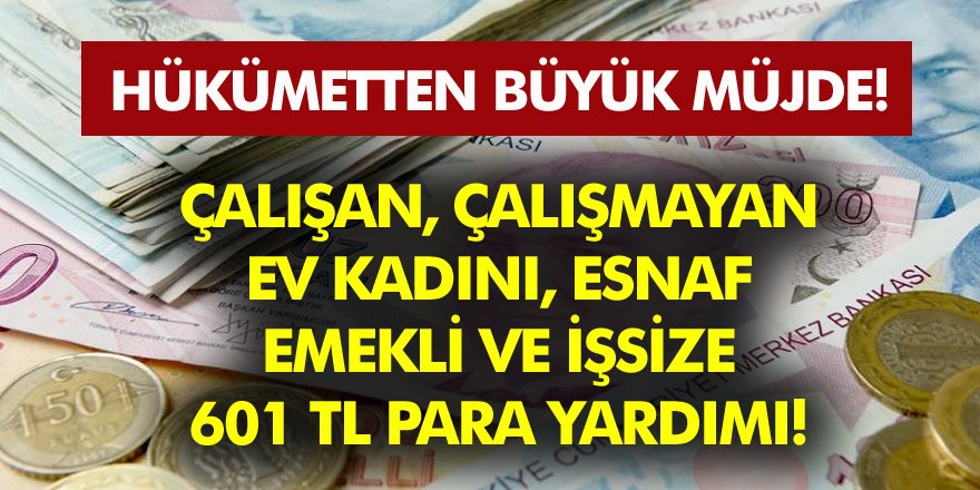 Hükümetten Müjde! Çalışan Çalışmayan, Ev Kadını, Esnaf, Emekli Ve İşsizlere 601 TL Para Yardımı! Kimler alabilir?