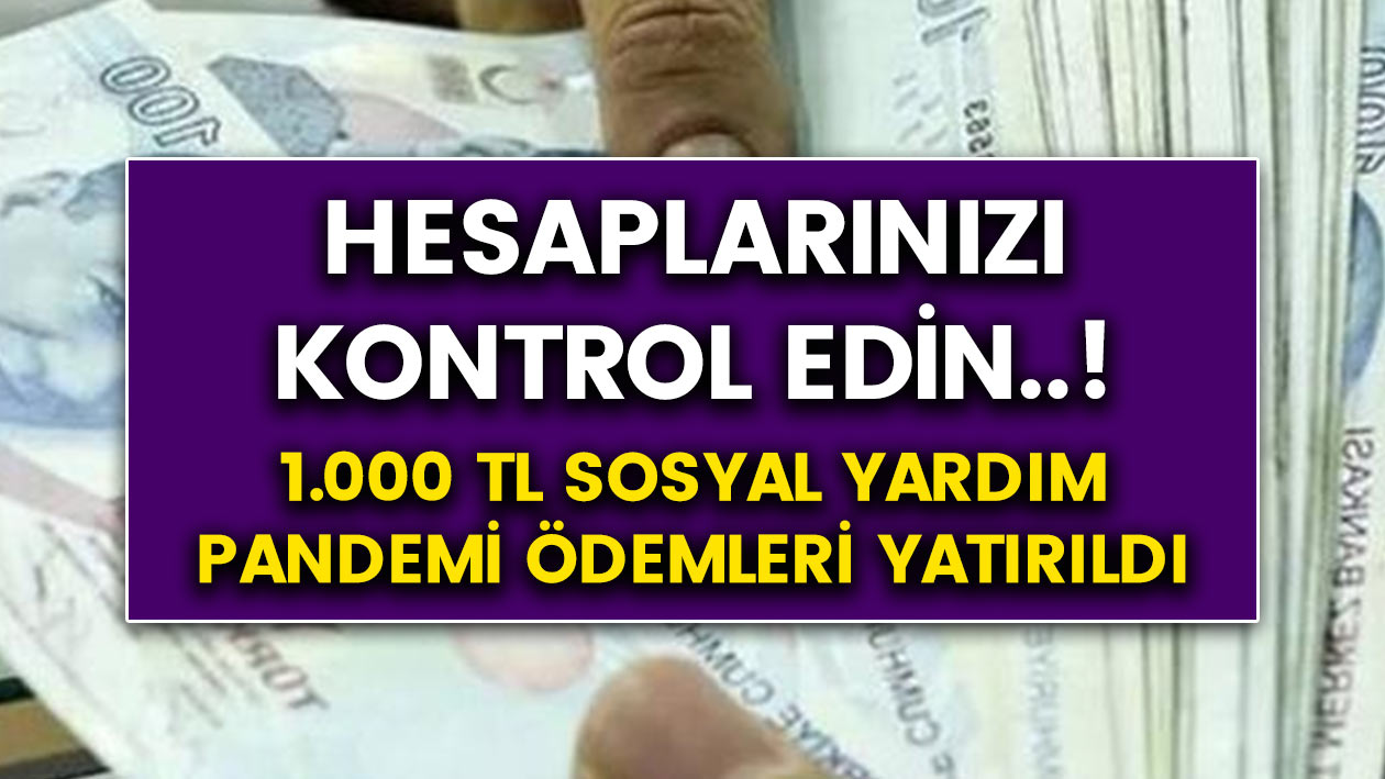 1000 Türk Lirası Pandemi sosyal yardım ödemeleri hesaplara yatırıldı! Hemen hesabınızı kontrol edin