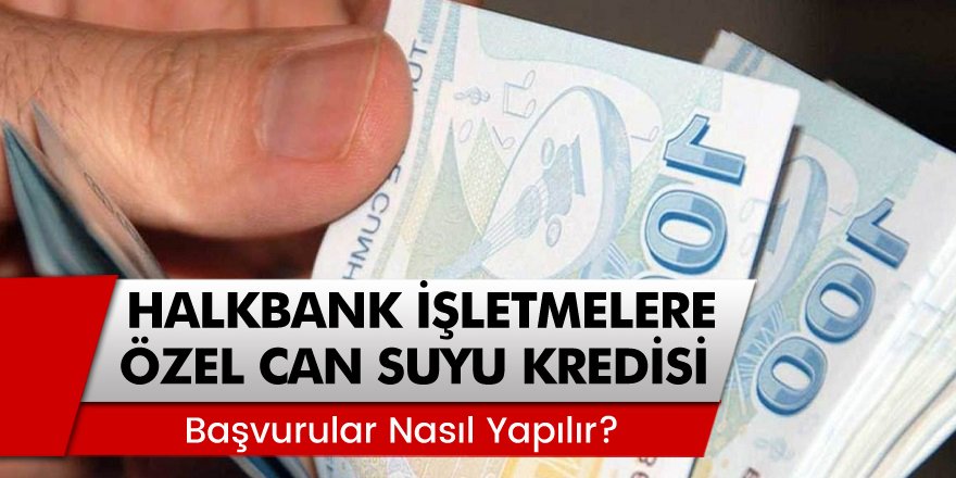 Halkbank’tan İşletmelere Özel Can Suyu Destek Kredisi Başvuruları Nereden, Nasıl Yapılır?