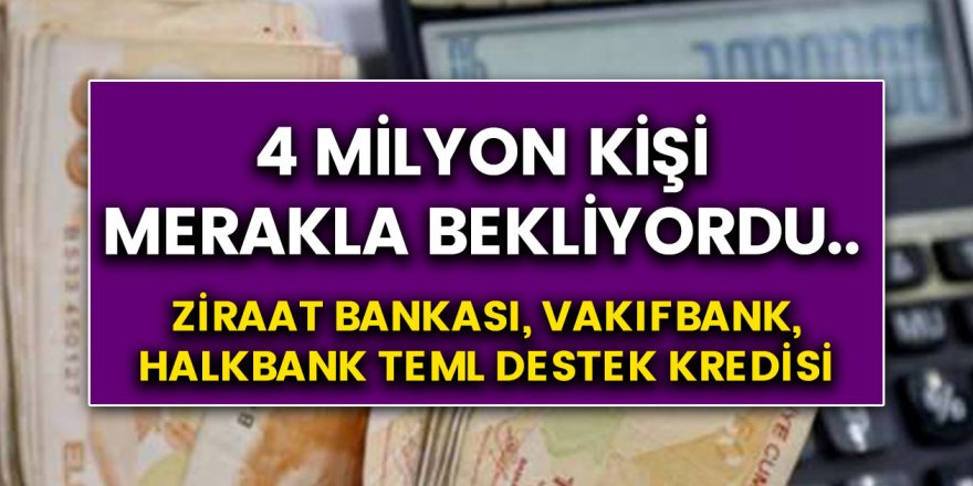 Halkbank, Vakıfbank, Ziraat bankası temel destek kredisi 4 milyon kişinin değerlendirmesinin merakla beklediği kredi...