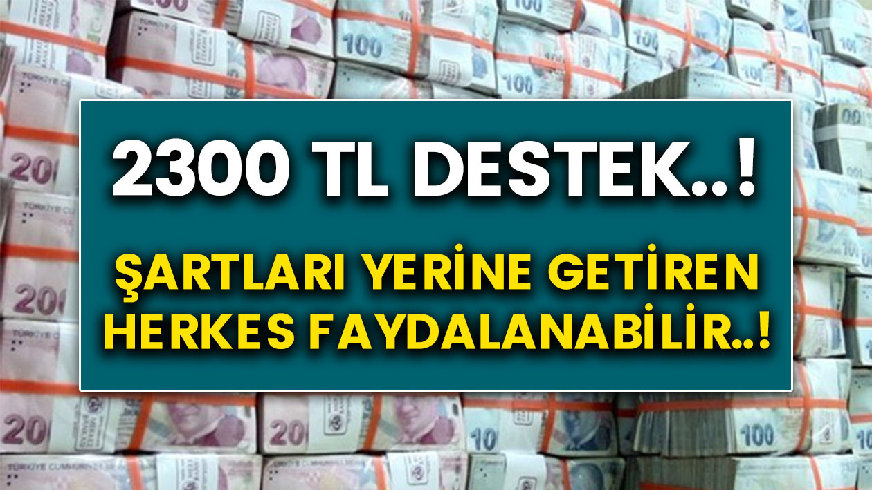 2 bin 300 TL destek veriliyor! Şartlara uyan herkes alabilir! İşte detaylar…