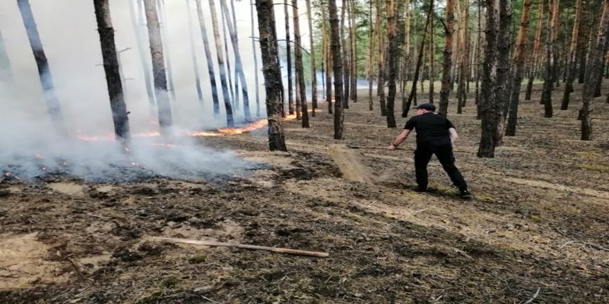 Ukrayna'da Lugansk bölgesinde korkutan orman yangını: 4 ölü