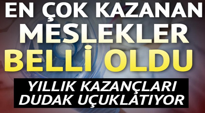 Yıllık kazançları dudak uçuklatıyor En çok kazanan meslekler belli oldu!