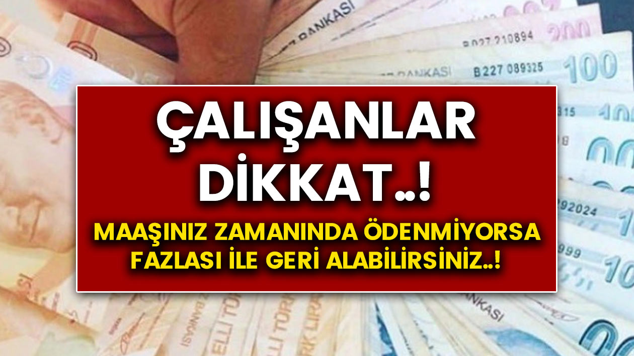 Çalışanlar dikkat..! Maaşınız zamanında ödenmiyor mu? Bu haber sayesinde maaşınızı fazlasıyla alabilirsiniz!